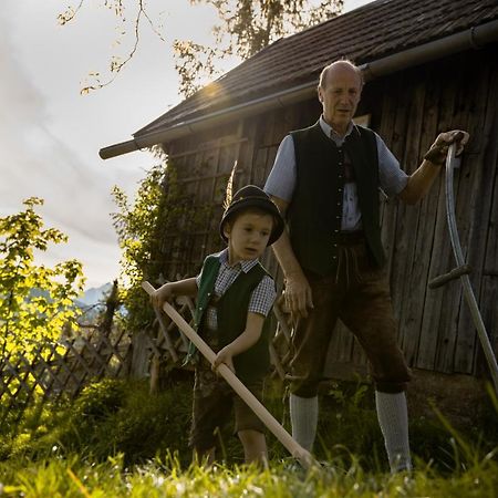 Lutzmannhof Villa Irdning Eksteriør billede